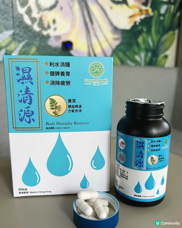 擺脫濕氣與疲態的秘密武器🩵