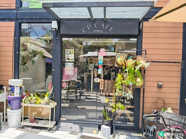 元朗隱世文青咖啡☕🐱