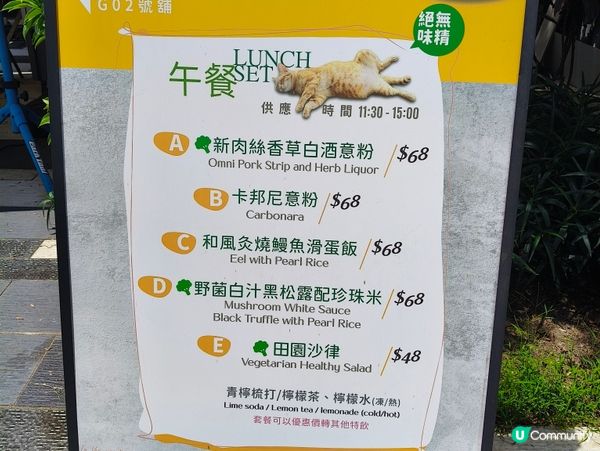 元朗隱世文青咖啡☕🐱