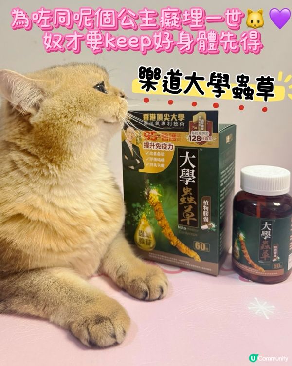 Ⓨの轉季必備 🍂