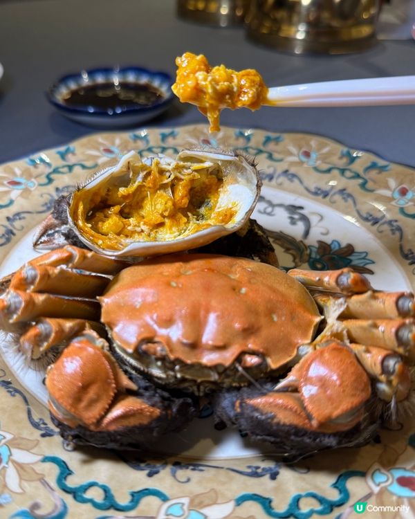 大閘蟹宴開餐啦！🦀 爆膏到暈🤤！