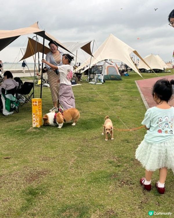 一家大細BBQ珠海橫琴花海長廊

珠海花海長廊！親子打卡勝地