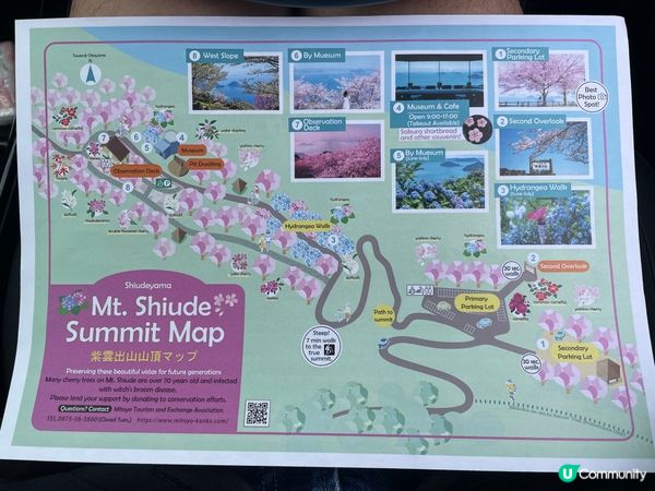 賞櫻🌸必去📍紫雲岀山