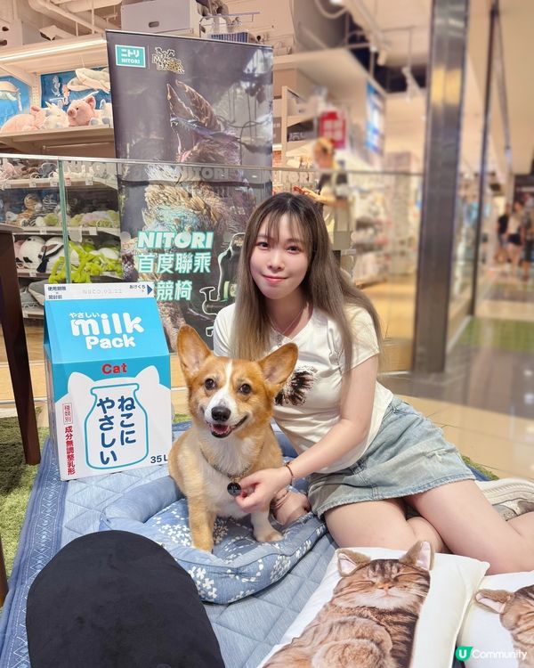 搬屋大作戰！毛孩都住得開心🥳