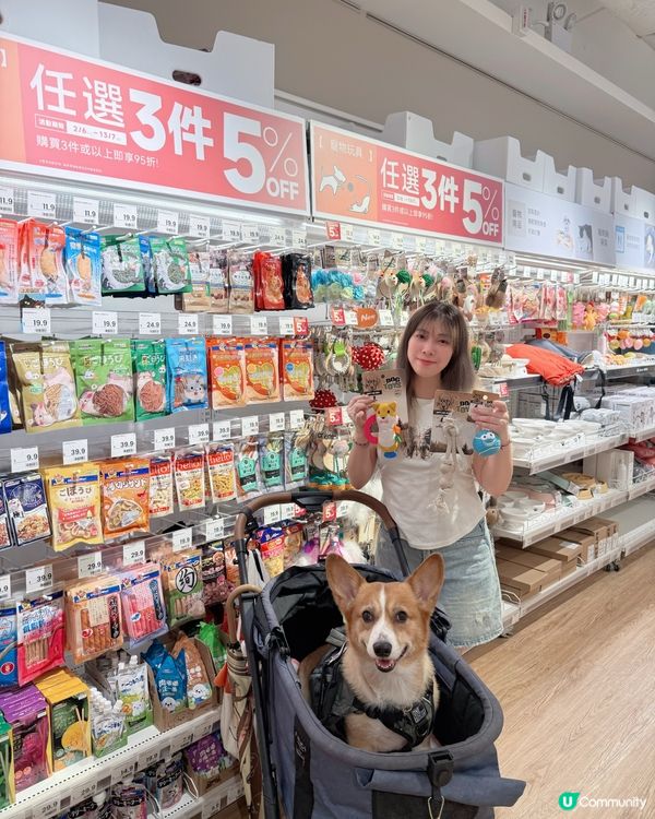 搬屋大作戰！毛孩都住得開心🥳