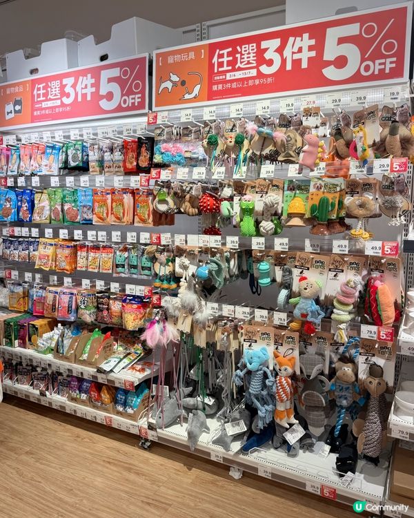 搬屋大作戰！毛孩都住得開心🥳