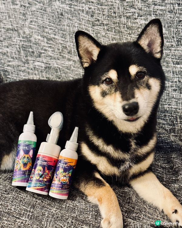 毛孩乾淨靚靚 ✨ 洗護套裝幫到你！