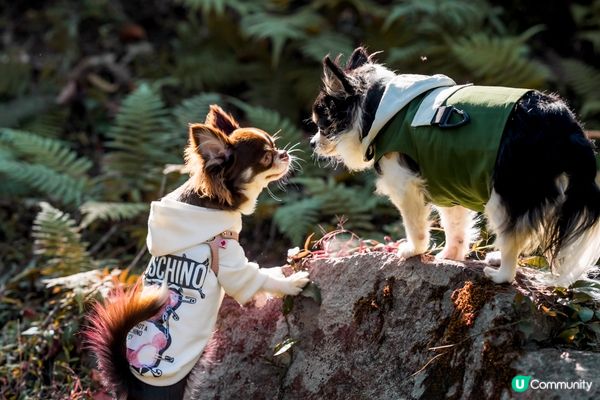 你快樂，所以我快樂