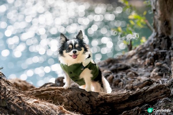 你快樂，所以我快樂