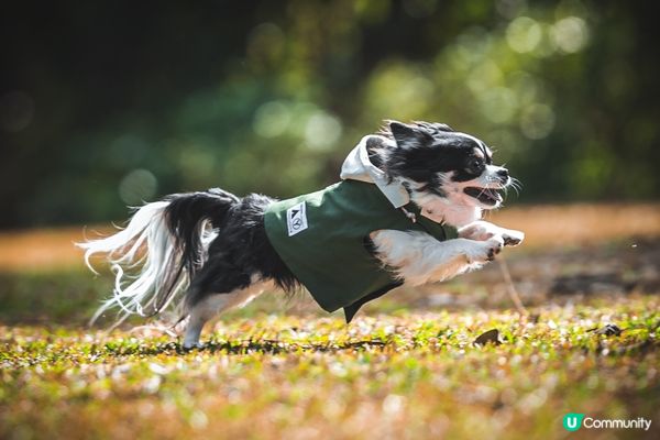 你快樂，所以我快樂