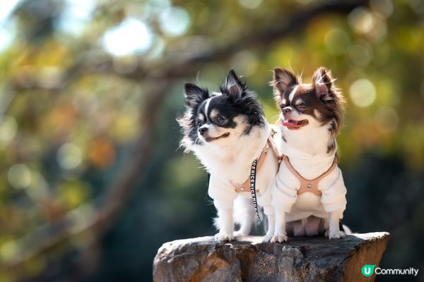 你快樂，所以我快樂