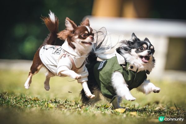 你快樂，所以我快樂