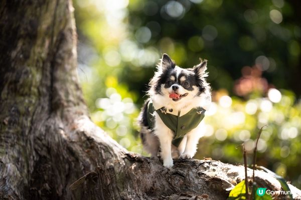 你快樂，所以我快樂