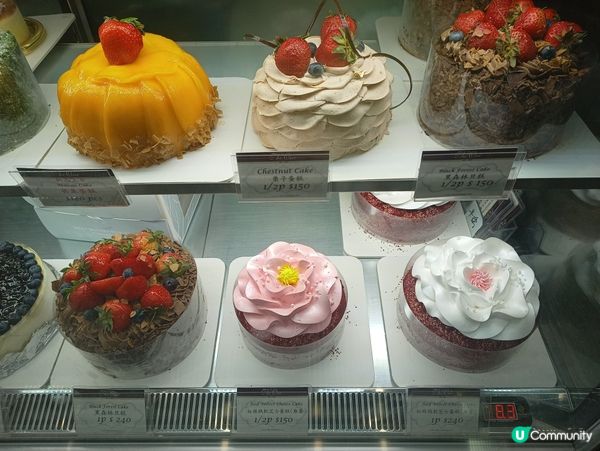 好吸睛的蛋糕🎂