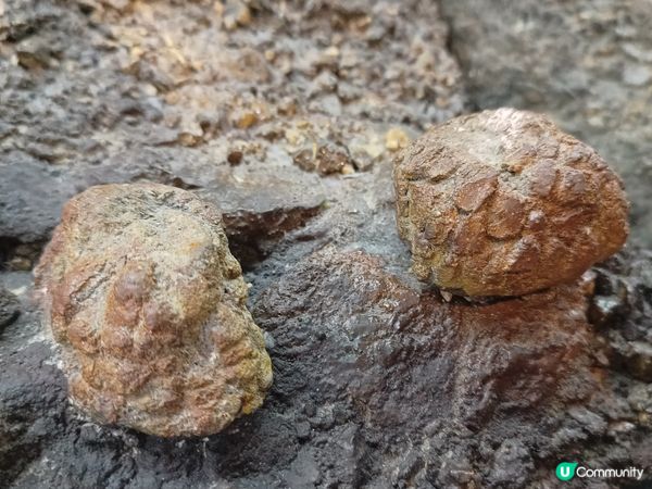 神還原的迷你版西貢東壩及橋咀菠蘿包⛰️