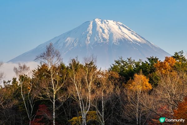 富士山加紅葉，畫面靚到唔真 🍁#打造韓系浪漫廚房