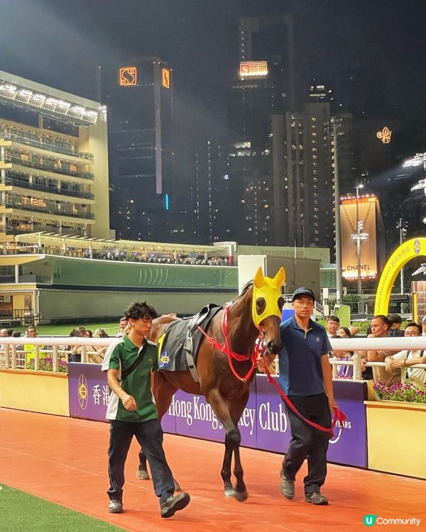 Happy Wednesday🤟🏻逢星期三跑馬地夜馬體驗🏇🏻...