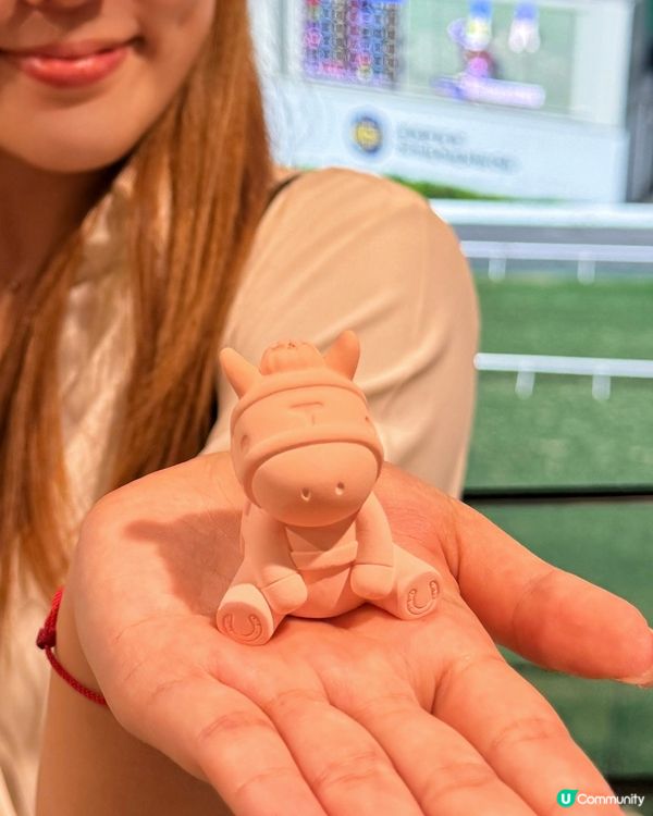 Happy Wednesday🤟🏻逢星期三跑馬地夜馬體驗🏇🏻...