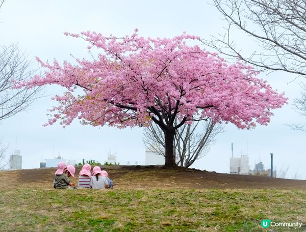 #Chill嘆酒店旅人祭  #別要再蝨眠