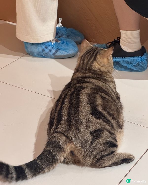 超級cute!!!🥹💖推介大家去~