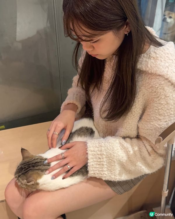 超級cute!!!🥹💖推介大家去~