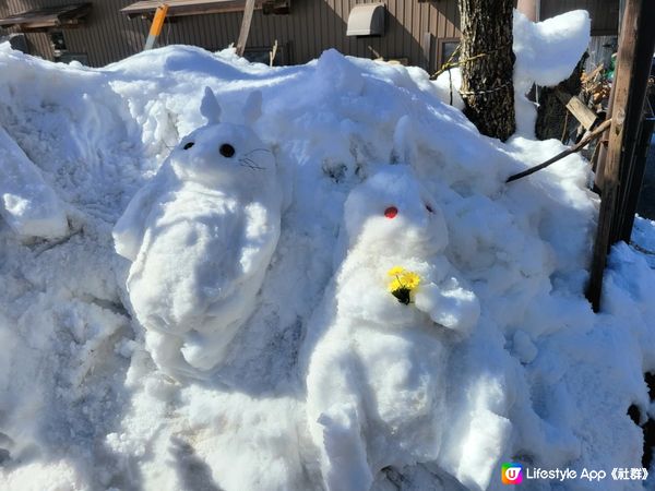 🤍白川鄉雪景 x 青空💙