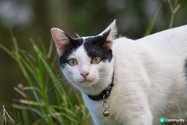 有時瞓到好靚，有時瞓到好似坨布咁。#主子SPATime