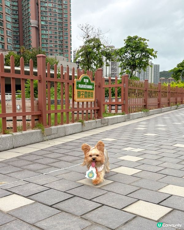 青衣城🐾毛孩好去處🥳！