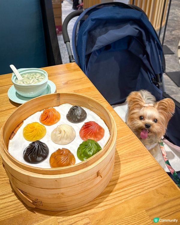 青衣城🐾毛孩好去處🥳！