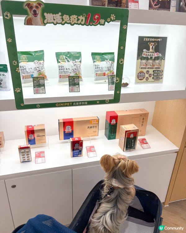 青衣城🐾毛孩好去處🥳！