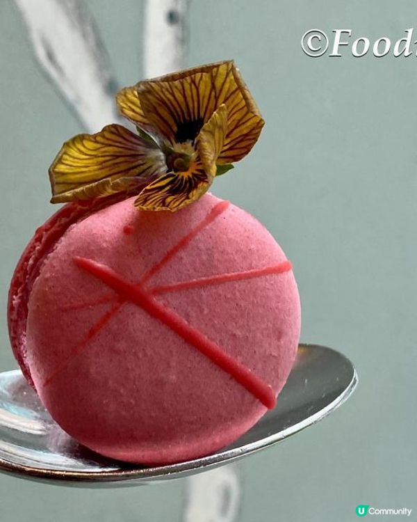 今天重臨The Pottinger，主要是要一試Gradin...