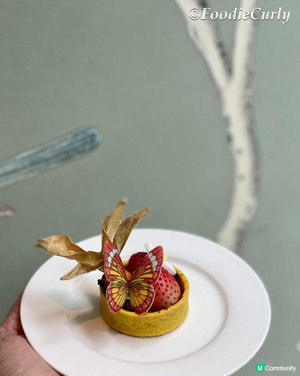 今天重臨The Pottinger，主要是要一試Gradin...