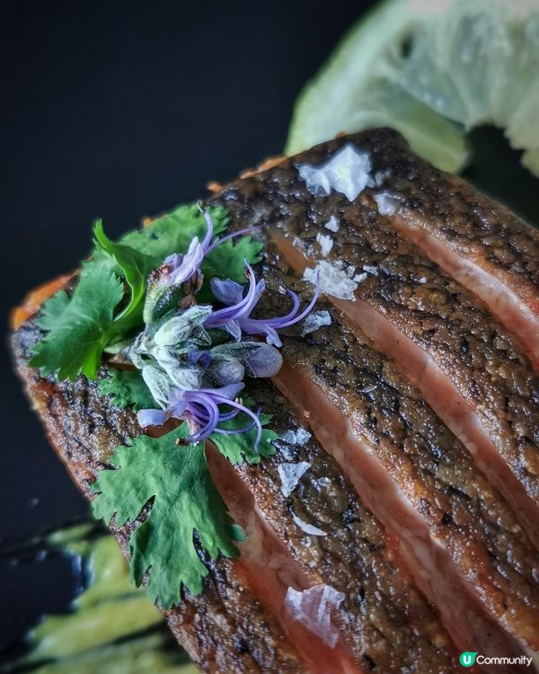 三文魚含豐富的Omega-3脂肪酸