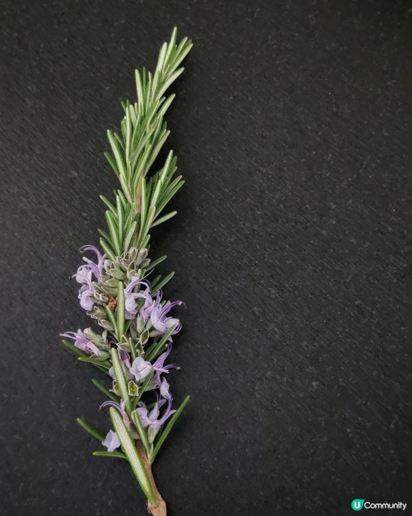 三文魚含豐富的Omega-3脂肪酸