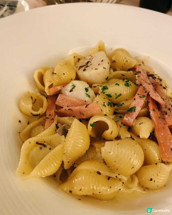 𝑺𝒕𝒂𝒚𝒄𝒂𝒕𝒊𝒐𝒏🛁