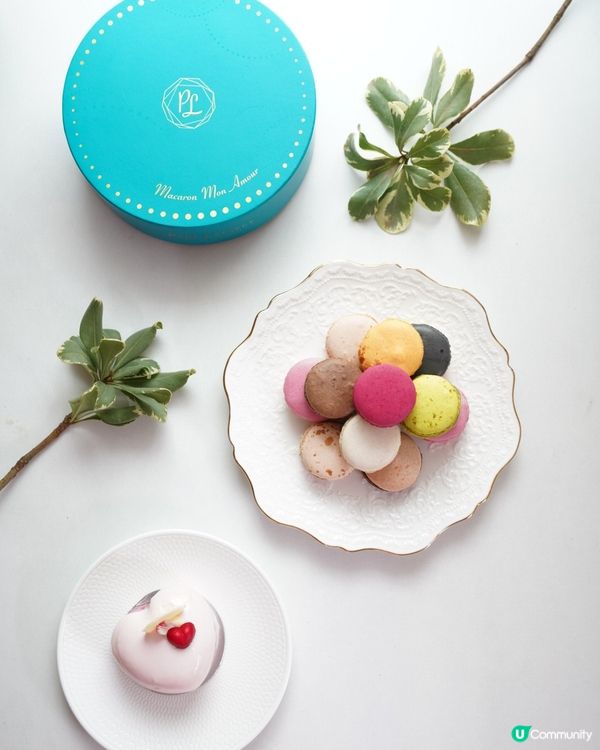 【Paul Lafayet】日日在家自閉都幾奄悶，有時真期望...