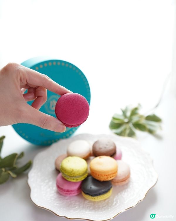 【Paul Lafayet】日日在家自閉都幾奄悶，有時真期望...