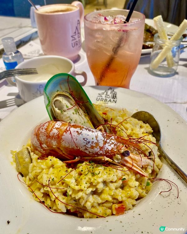 喵cafe 有30幾位主子可以服侍😻😽😸😹