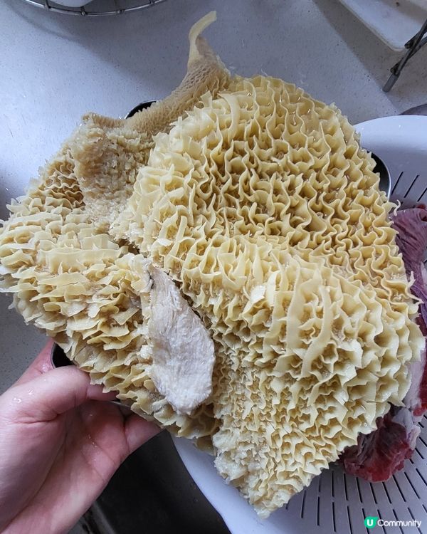 紅燒金錢肚&牛坑腩