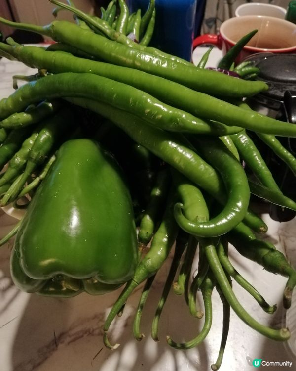 辣椒炒蛋 辣椒炒雞蛋 