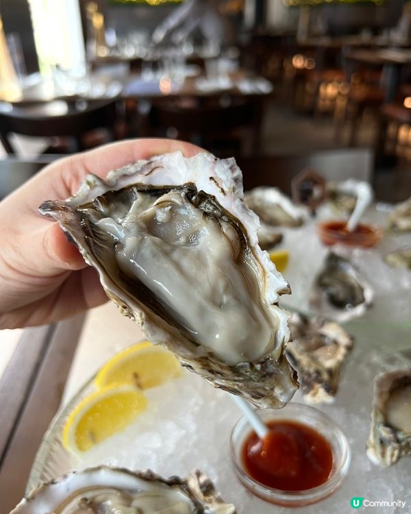 蠔站 (黃金廣場) (銅鑼灣)