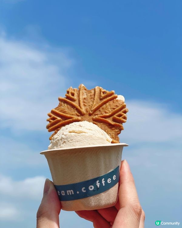 西貢必試人氣手作雪糕店 🍨 世一冧酒提子味雪糕／牛角包窩夫配...