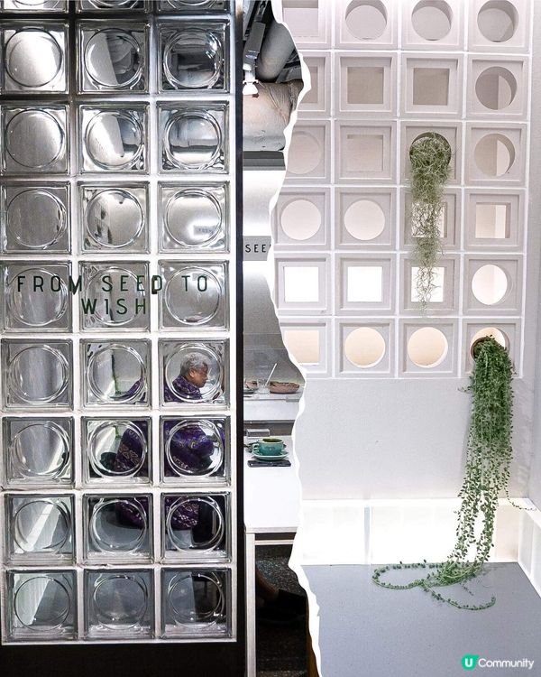 《九龍灣新店🤍純白簡約植物Cafe☕️🍀》