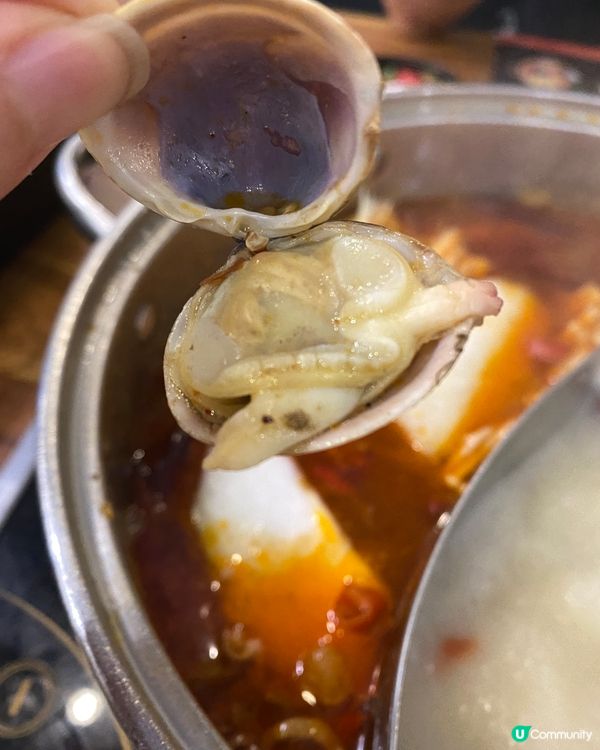 荃灣大鴻輝係打邊爐嘅集中地😍