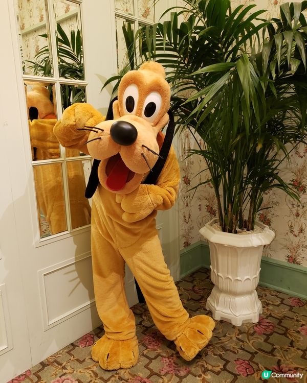 生日月又去翠樂庭享受奇妙處處通會員二人送一人優惠，原來銀卡會...