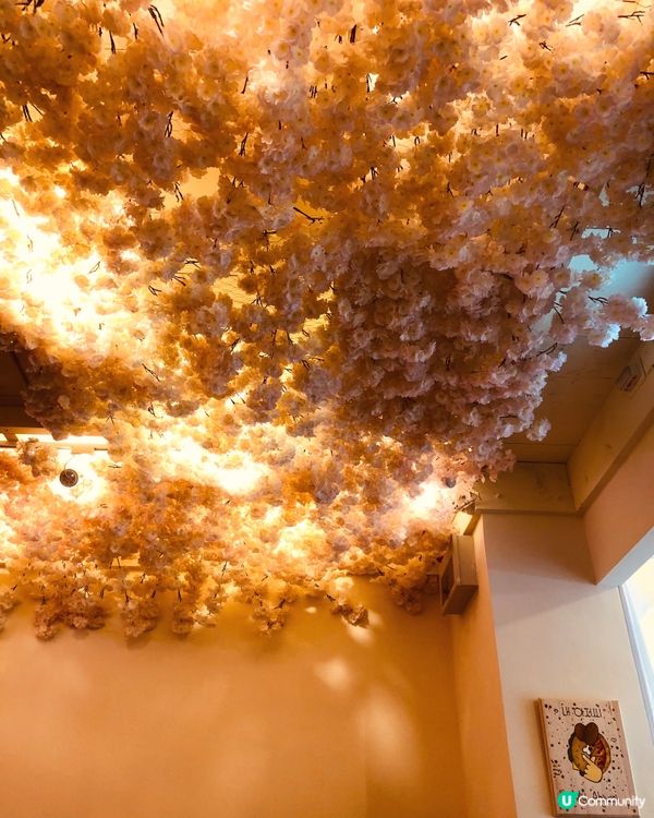 店內韓式粉紅花花主題