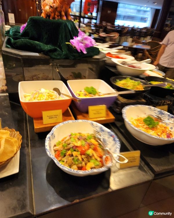 今天參加了第二團賞你遊香港，根據上次經驗，本對今次的餐飲不設...