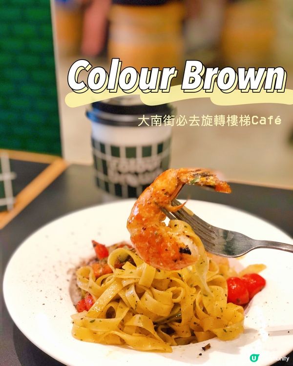 🌸Colour Brown x PHVLO HATCH🌸
...