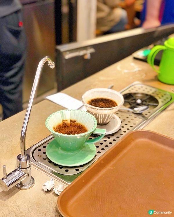 🌸Colour Brown x PHVLO HATCH🌸
...