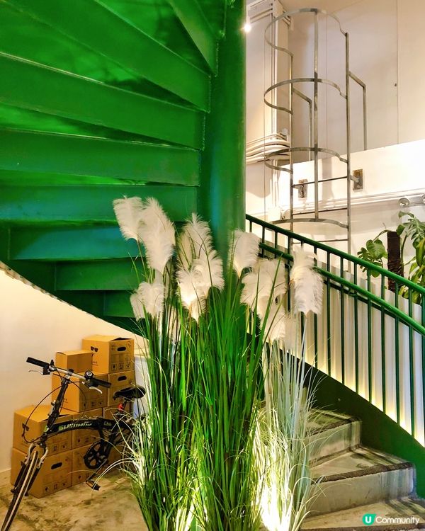 🌸Colour Brown x PHVLO HATCH🌸
...